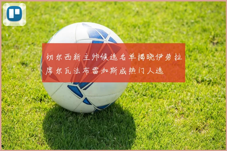 切尔西新主帅候选名单揭晓伊劳拉席尔瓦法布雷加斯成热门人选